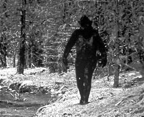 Bigfoot