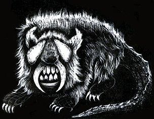 Sheepsquatch drawing