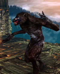 487px-Tw2 screenshot werewolf.png