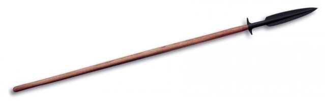 Datei:Speer.jpg