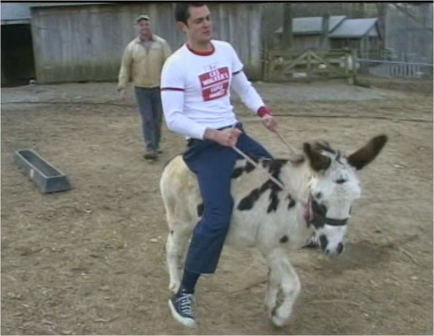 File:Donkey Intro.png