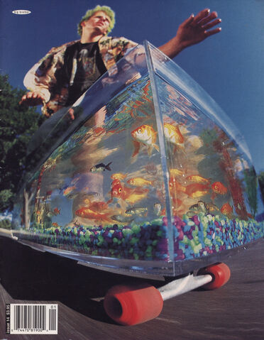 File:Big brother 14.jpg