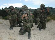 Turkish army nato exercise