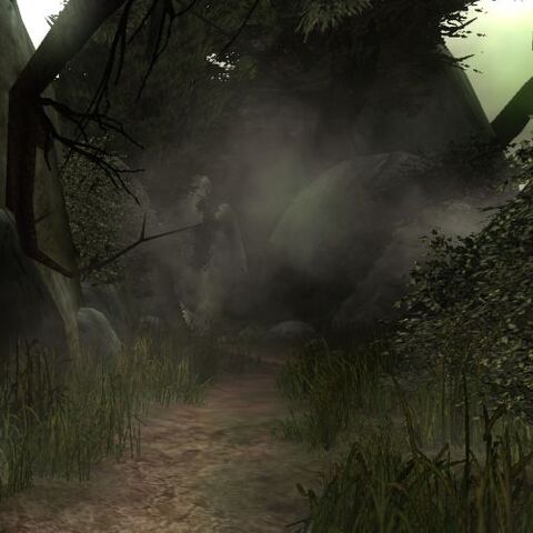 File:GreatSouthernForest1.jpg