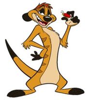 984947-timon3 large