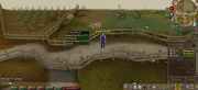 Runescape comparison