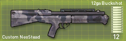 File:CustomNeostead.png