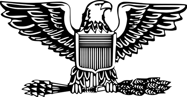 File:US Army Colonel.png