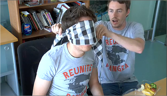 File:Blind.png