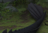 Pol-ogona.png