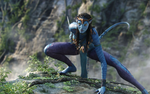 Bestand:Avatar 2009 movie-wide.jpg