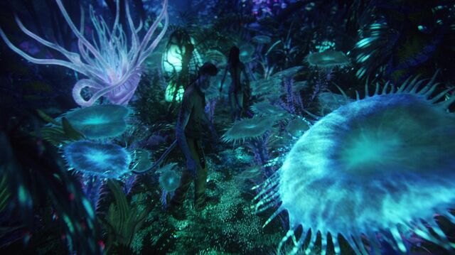 Файл:Bioluminescent beauty.jpg
