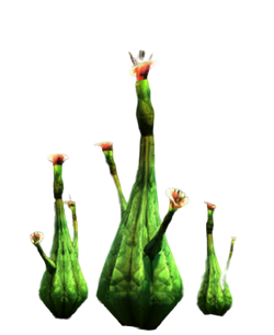 Hookagourd.png