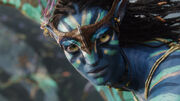 Avatar-neytiri.jpg