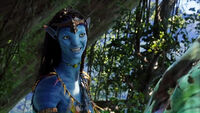 Ney banshee