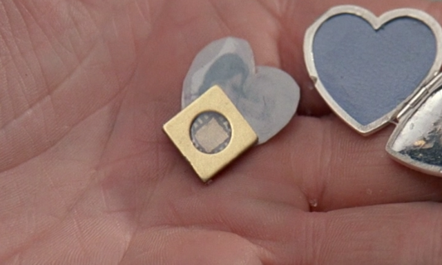 File:Zorin microchip.png
