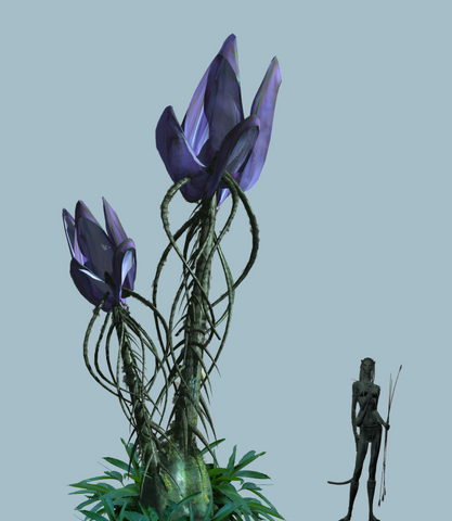 File:Tulipthorn.png