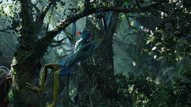 File:Prolemuris grabbing food.png