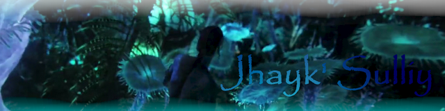File:Jhayk BannerD1.png
