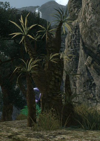 File:Unknownplant5.png