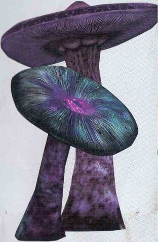 File:Octoshroom.jpg