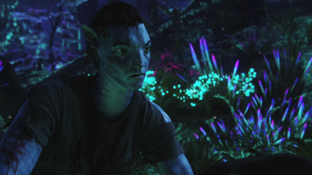 File:Bioluminescent beauty2.jpg