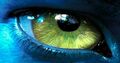 Thumbnail for version as of 18:07, August 15, 2010