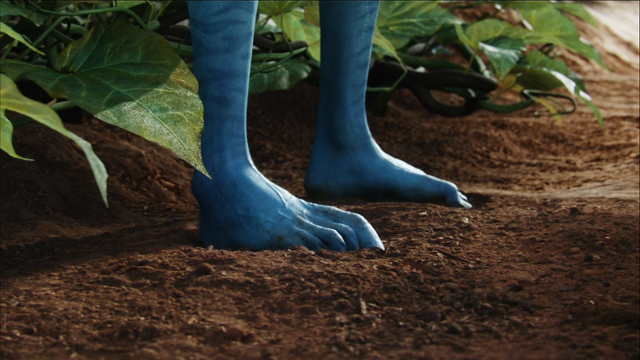 File:Foot.png