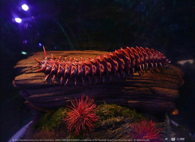 File:Creepycrawler discoverpandora.jpg