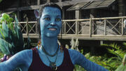 800px-Graces avatar.jpg