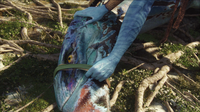 File:Banshee Catcher.png