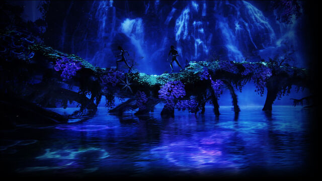 File:Bioluminescence.jpg