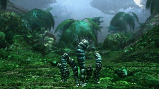 File:Grub Plant.jpg
