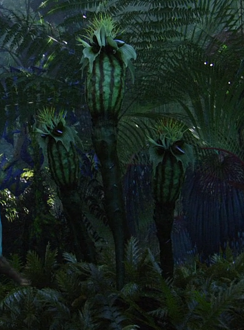 File:Thistle Bud Movie.png