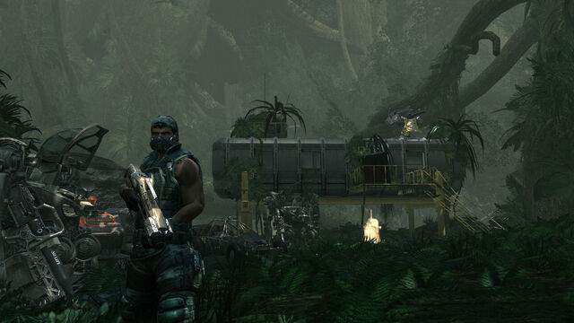 File:The Wilds.jpg
