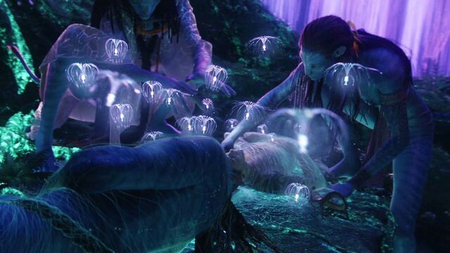 File:Avatar-avatar-12322129-1280-720.jpg