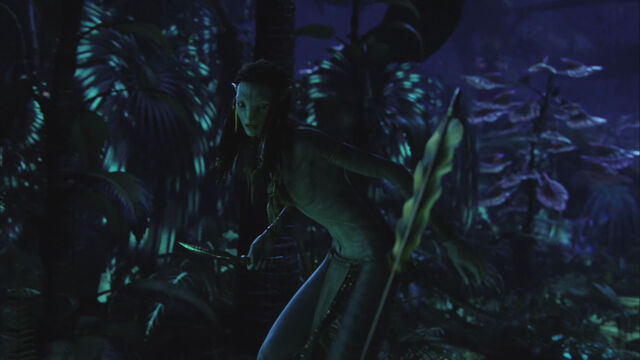 File:Neytiri reluctant.jpg