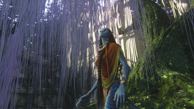 File:Avatar br 2507 20100627 1662723131.jpg