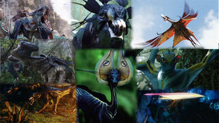 Fauna Pandora.jpg