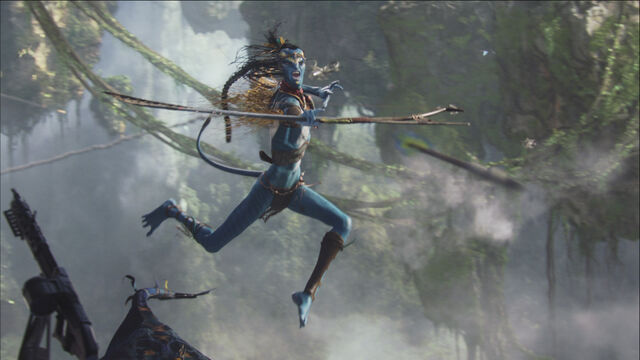 File:Tsutey attacks valkyrie.jpg