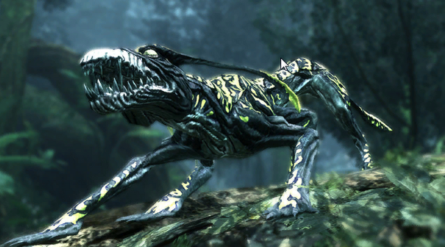 File:Costatus velox.png