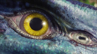 Banshee Eyes
