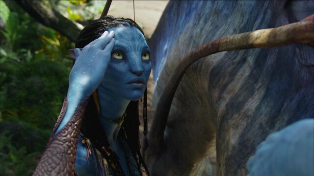 File:Neytiri - Inside.jpg