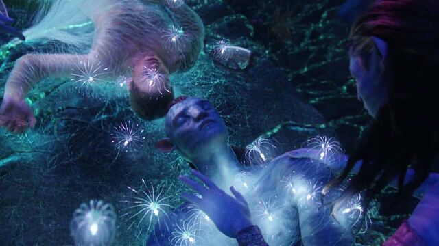 File:Avatar-avatar-12322142-1280-720.jpg