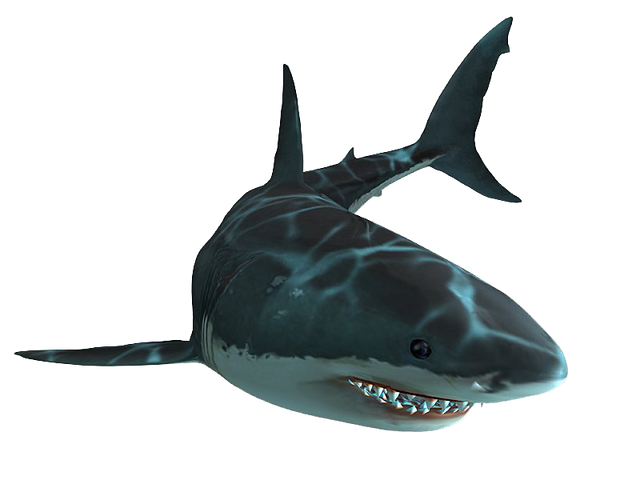 File:Jaws Unleashed shark.png