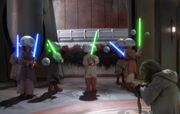 Lichtschwerttraining.jpg