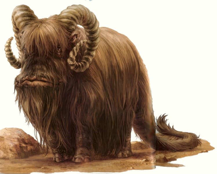 Bantha | Jedipedia | FANDOM powered by Wikia