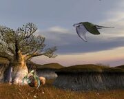 Brith-Kath-Dantooine.jpg