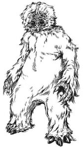 Muftak TEGC.jpg
