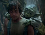 LukeSkywalkerYoda.jpg